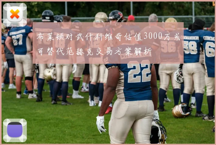 布莱顿对武什科维奇估值3000万或可替代范赫克交易方案解析